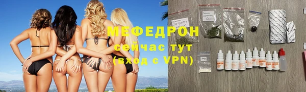 гашик Ельня