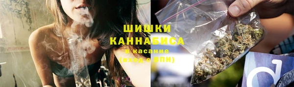 гашик Ельня