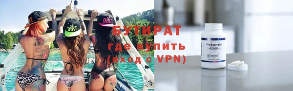 гашик Ельня