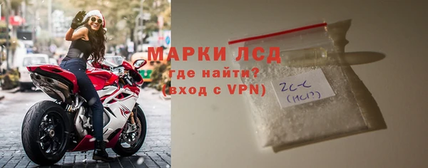 гашик Ельня