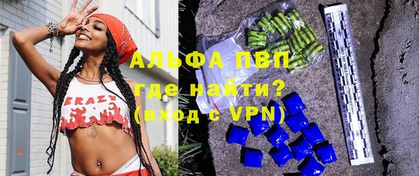 гашик Ельня