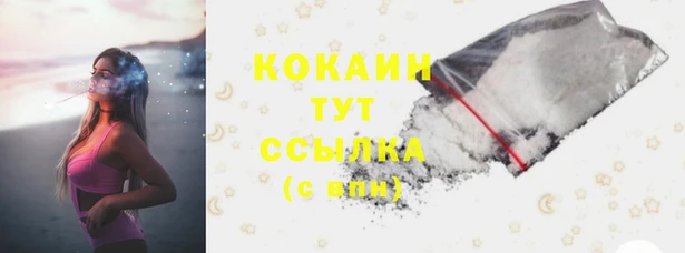 гашик Ельня