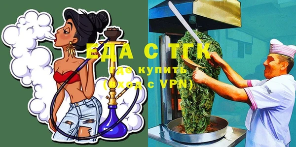 гашик Ельня