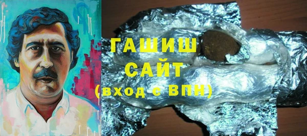 гашик Ельня