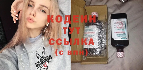 гашик Ельня