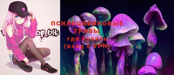 гашик Ельня