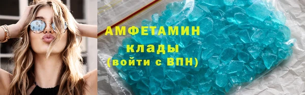 гашик Ельня