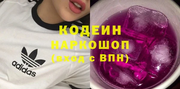 гашик Ельня