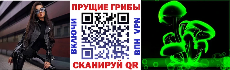 Галлюциногенные грибы GOLDEN TEACHER  Гусь-Хрустальный 